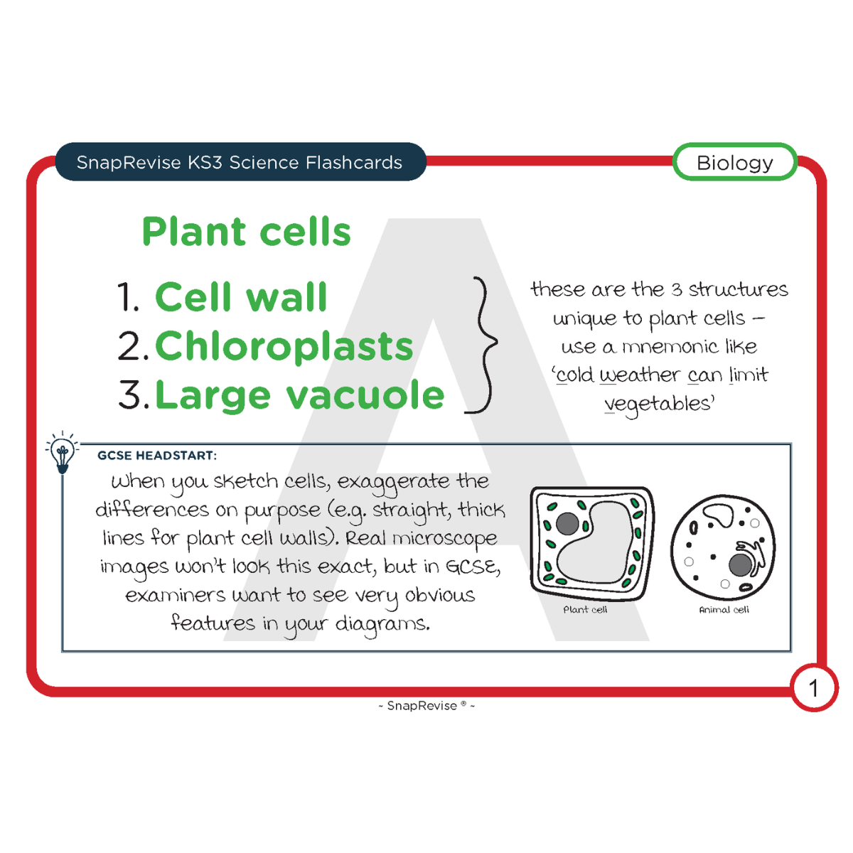 KS3 Science Flashcards