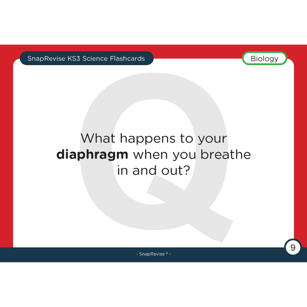 KS3 Science Flashcards