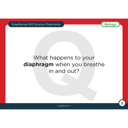 KS3 Science Flashcards