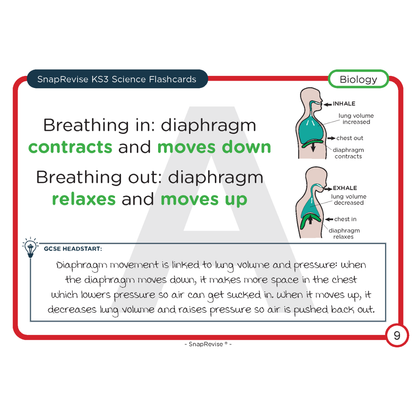 KS3 Science Flashcards
