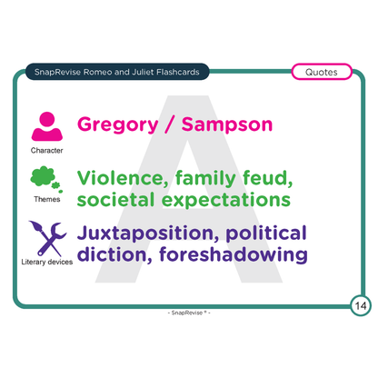 Flashcards by SnapRevise, displaying character, themes, and literary devices, with a pink, green, and purple color scheme.