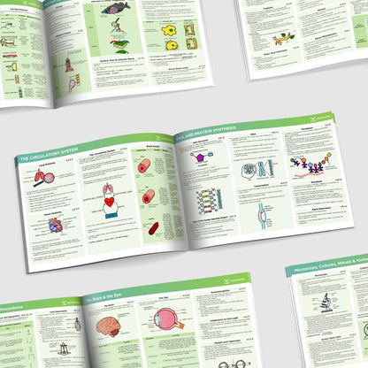 GCSE AQA Triple Science Biology Summary Sheets Higher