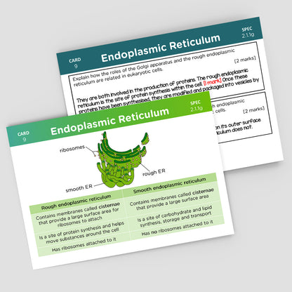 A-Level OCR Biology Revision Cards