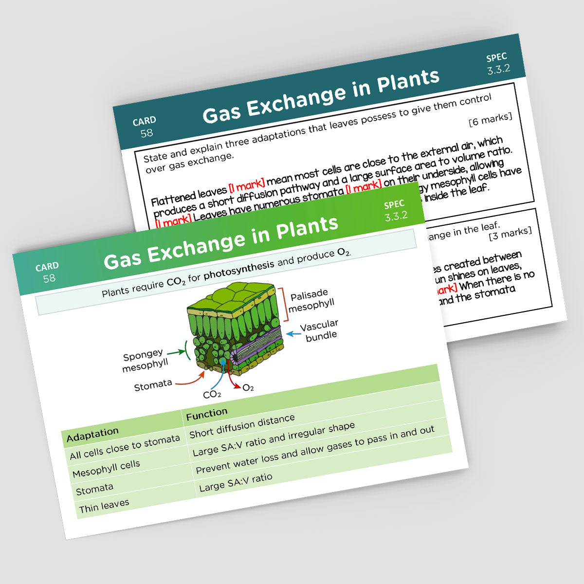 A-Level AQA Biology Revision Cards