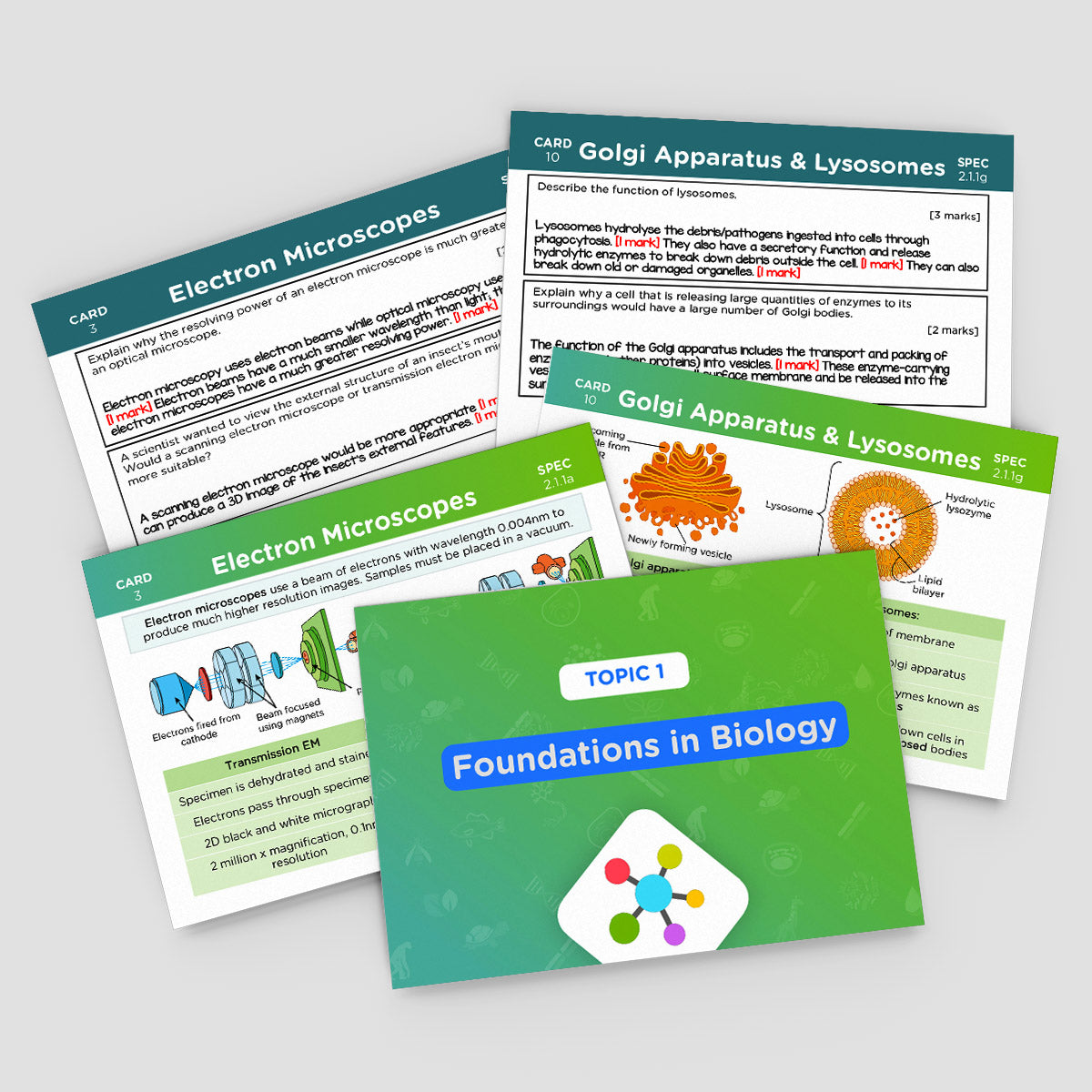 A-Level OCR Biology Revision Cards