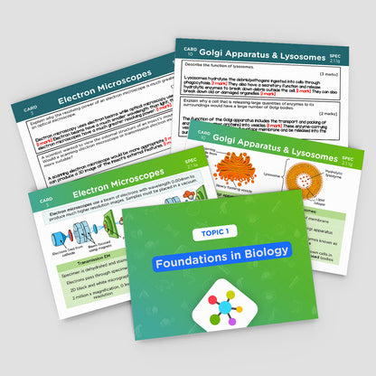 A-Level OCR Biology Revision Cards