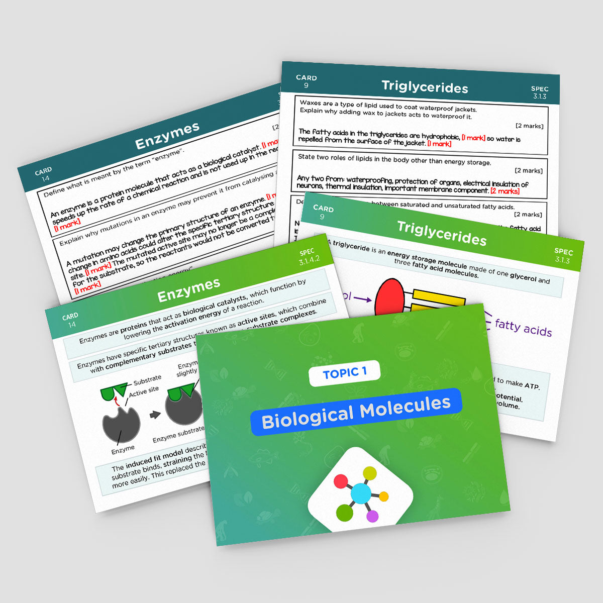 A-Level AQA Biology Revision Cards