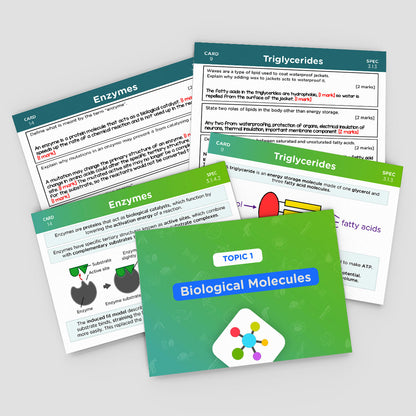 A-Level AQA Biology Revision Cards